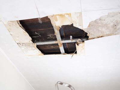 About Delanco Mold Specialist - mold removal experts in Delanco, NJ